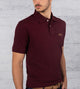 Vinotinto